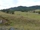 Photo - Lot 11 1300 Upper Moore Creek Road, Tamworth NSW 2340 - Image 3