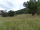 Photo - Lot 11 1300 Upper Moore Creek Road, Tamworth NSW 2340 - Image 6