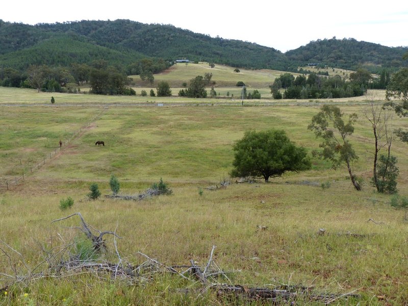 Photo - Lot 11 1300 Upper Moore Creek Road, Tamworth NSW 2340 - Image 7