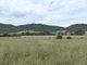 Photo - Lot 11 1300 Upper Moore Creek Road, Tamworth NSW 2340 - Image 9