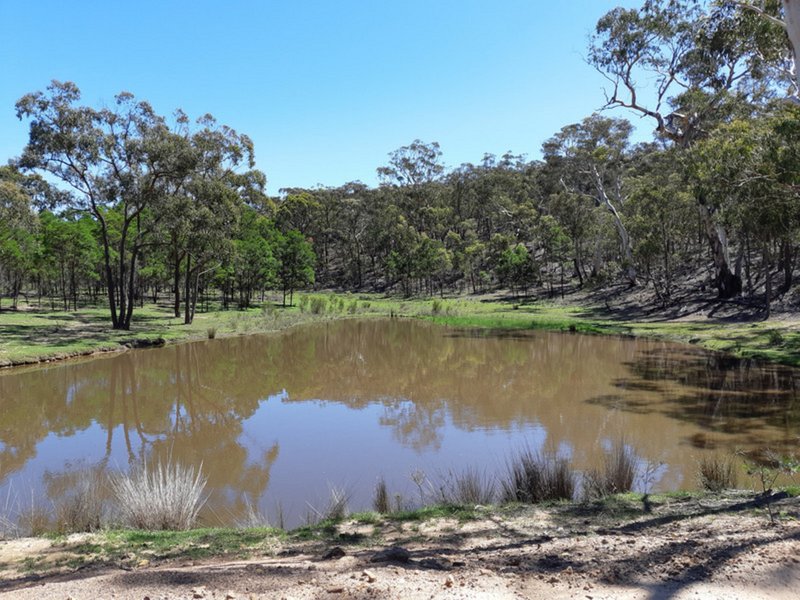 Photo - Lot 11 1766 Oallen Ford Road, Oallen NSW 2622 - Image 2