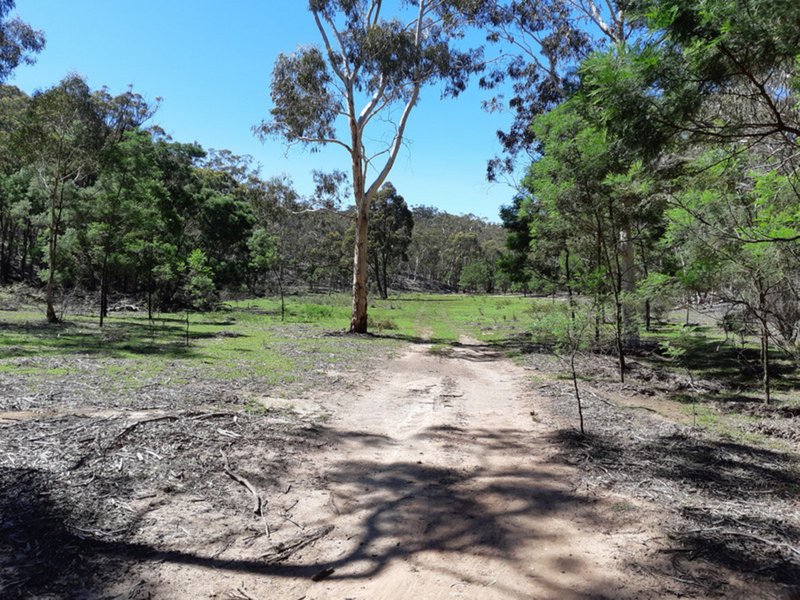 Photo - Lot 11 1766 Oallen Ford Road, Oallen NSW 2622 - Image 5