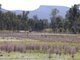 Photo - Lot 11 3006A Northern Grampians , Wartook VIC 3401 - Image 6