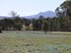 Photo - Lot 11 3006A Northern Grampians , Wartook VIC 3401 - Image 9