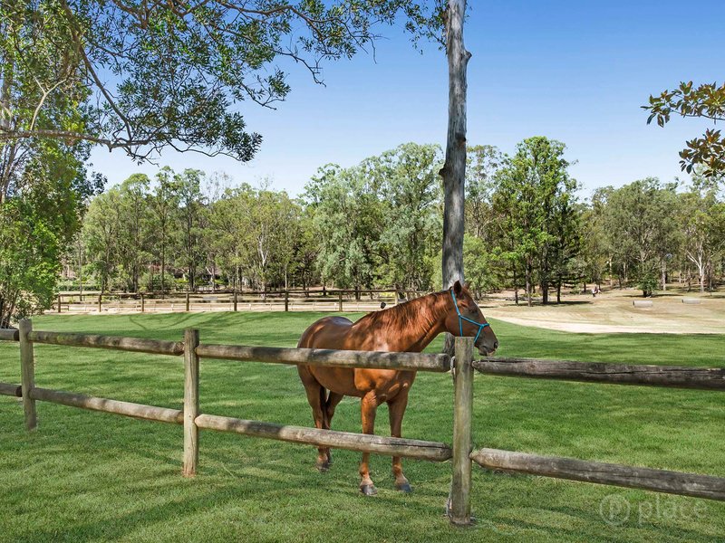 Photo - Lot 11 463 Gold Creek Road, Brookfield QLD 4069 - Image 14