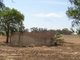 Photo - Lot 11 Conrad Road, Korunye SA 5502 - Image 16