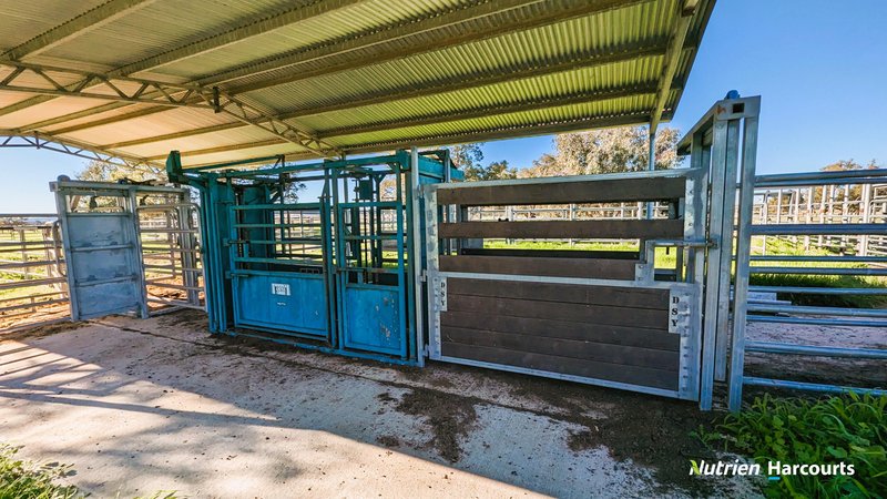 Photo - Lot 11 Corner Of Bootine Road & Brand Highway, Beermullah WA 6503 - Image 7