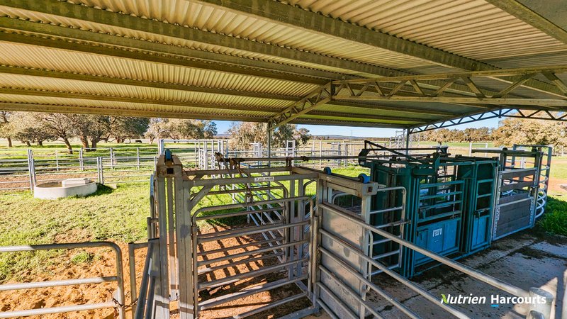 Photo - Lot 11 Corner Of Bootine Road & Brand Highway, Beermullah WA 6503 - Image 8