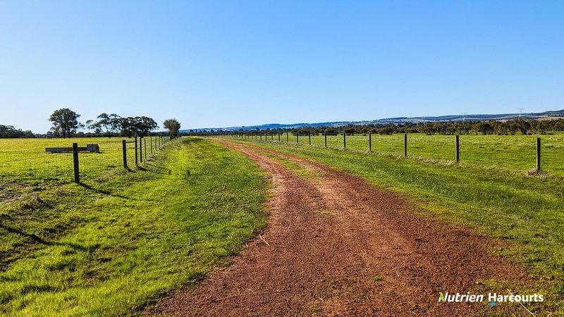 Photo - Lot 11 Corner Of Bootine Road & Brand Highway, Beermullah WA 6503 - Image 12