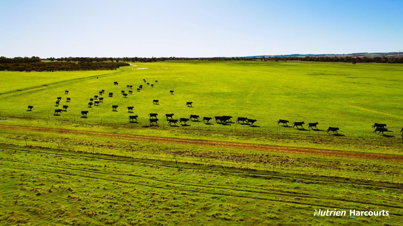 Photo - Lot 11 Corner Of Bootine Road & Brand Highway, Beermullah WA 6503 - Image 24