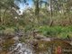 Photo - Lot 11 Dungay Creek Road, Wittitrin NSW 2440 - Image 2