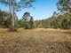 Photo - Lot 11 Dungay Creek Road, Wittitrin NSW 2440 - Image 13