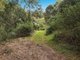 Photo - Lot 11 Dungay Creek Road, Wittitrin NSW 2440 - Image 15