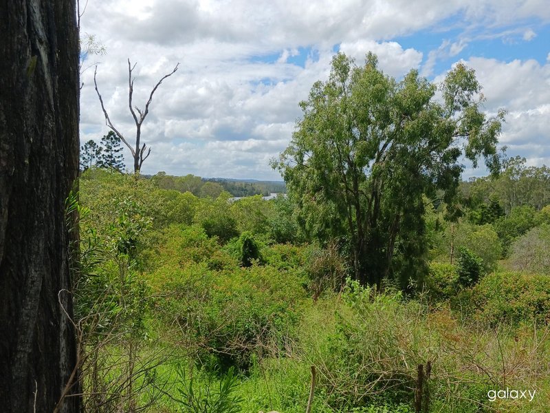 Photo - Lot 11 East River Pines Drive, Delan QLD 4671 - Image 3