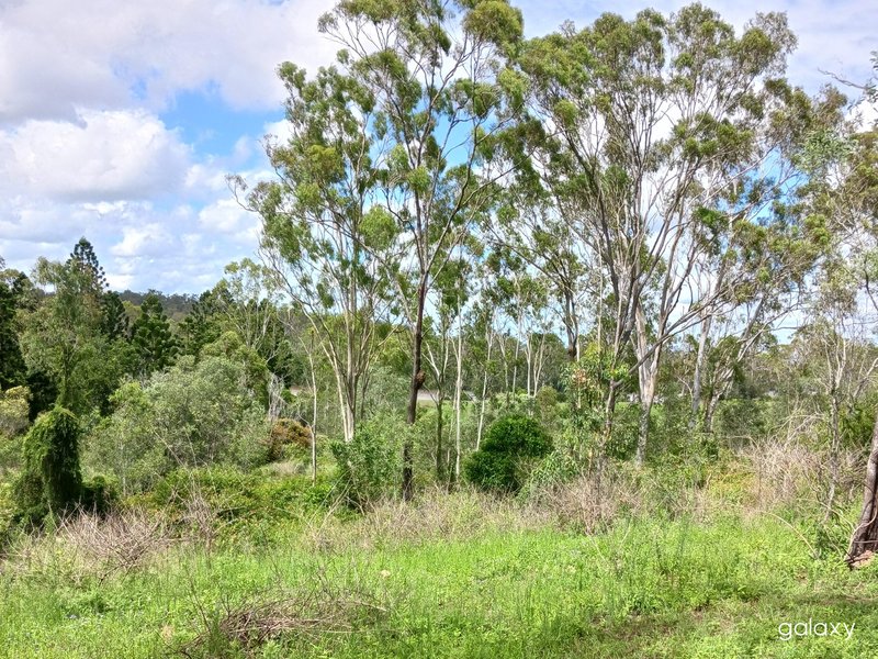 Photo - Lot 11 East River Pines Drive, Delan QLD 4671 - Image 4