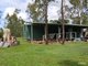 Photo - Lot 11 East River Pines Drive, Delan QLD 4671 - Image 5