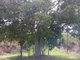 Photo - Lot 11 East River Pines Drive, Delan QLD 4671 - Image 7