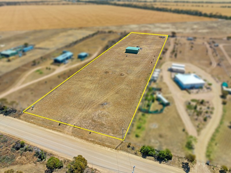 Photo - Lot 11 Falie Drive, Price SA 5570 - Image 4