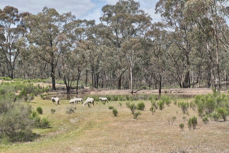 Photo - Lot 11 Heathcote-Rochester Road, Heathcote VIC 3523 - Image 13