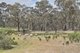 Photo - Lot 11 Heathcote-Rochester Road, Heathcote VIC 3523 - Image 13