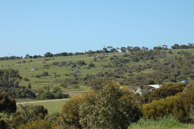 Photo - Lot 1/1 Kookaburra Drive, Boston SA 5607 - Image 7