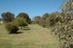 Photo - Lot 1/1 Kookaburra Drive, Boston SA 5607 - Image 10