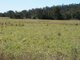 Photo - Lot 11 Newbury - Mt Vince Road, Marian QLD 4753 - Image 2