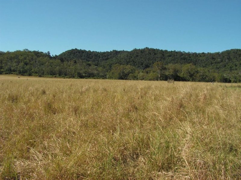 Photo - Lot 11 Newbury - Mt Vince Road, Marian QLD 4753 - Image 8