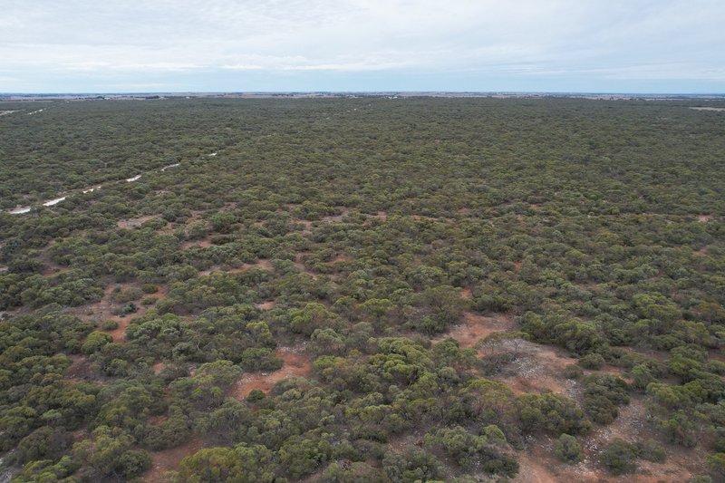 Photo - Lot 11 Peter Road, Sherlock SA 5301 - Image 2