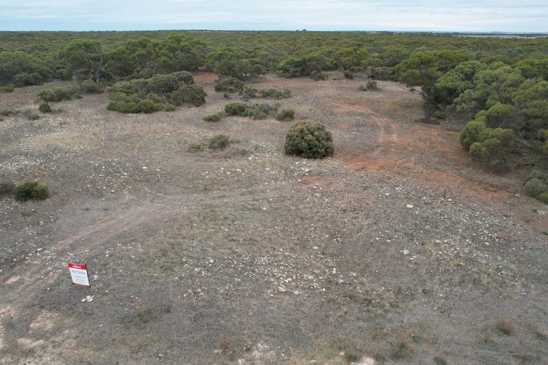 Photo - Lot 11 Peter Road, Sherlock SA 5301 - Image 4