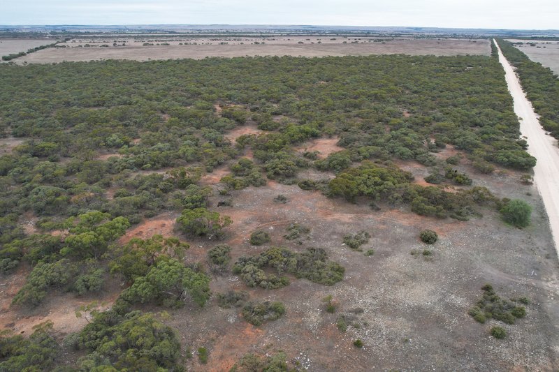 Photo - Lot 11 Peter Road, Sherlock SA 5301 - Image 12