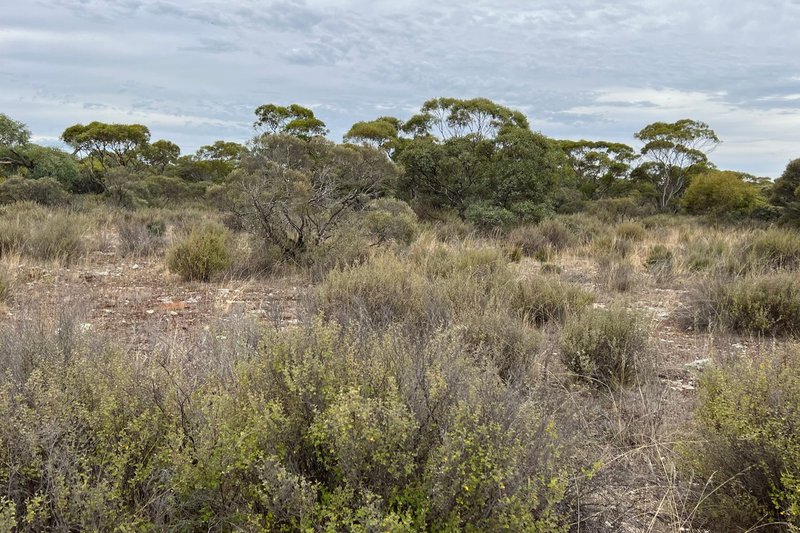 Photo - Lot 11 Peter Road, Sherlock SA 5301 - Image 17