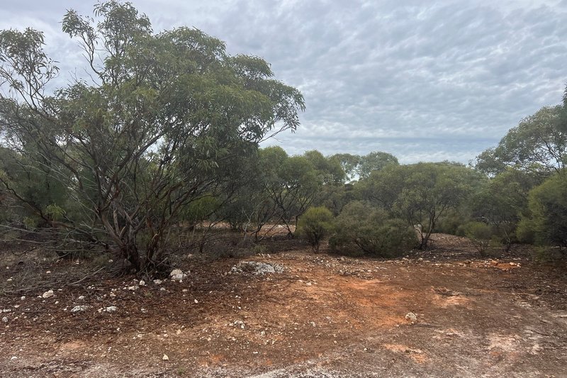 Photo - Lot 11 Peter Road, Sherlock SA 5301 - Image 18