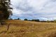 Photo - Lot 11 Spencer Street, Moruya NSW 2537 - Image 3