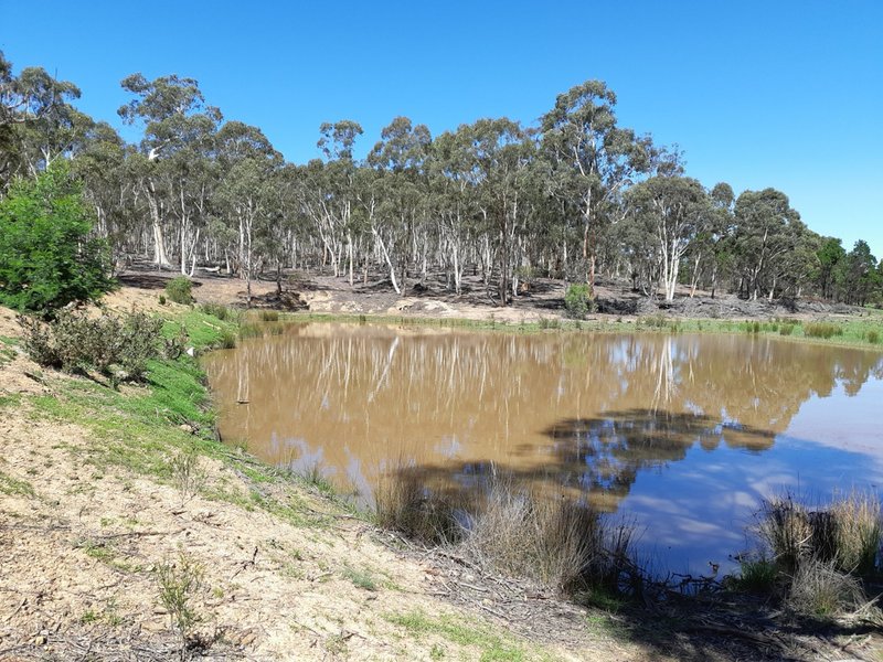 Photo - Lot 11 Timberlight Road, Windellama NSW 2580 - Image 2