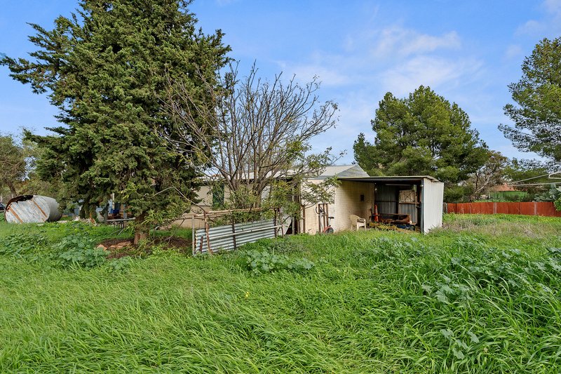 Photo - (Lot 110) 14 Terminus Road, Hoyleton SA 5453 - Image 3