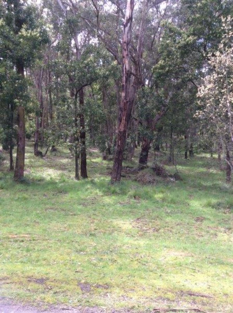 Lot 110 Dales Creek Avenue, Dales Creek VIC 3341