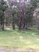 Photo - Lot 110 Dales Creek Avenue, Dales Creek VIC 3341 - Image 1