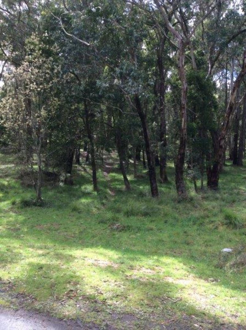 Photo - Lot 110 Dales Creek Avenue, Dales Creek VIC 3341 - Image 2