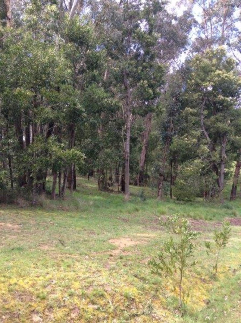 Photo - Lot 110 Dales Creek Avenue, Dales Creek VIC 3341 - Image 3