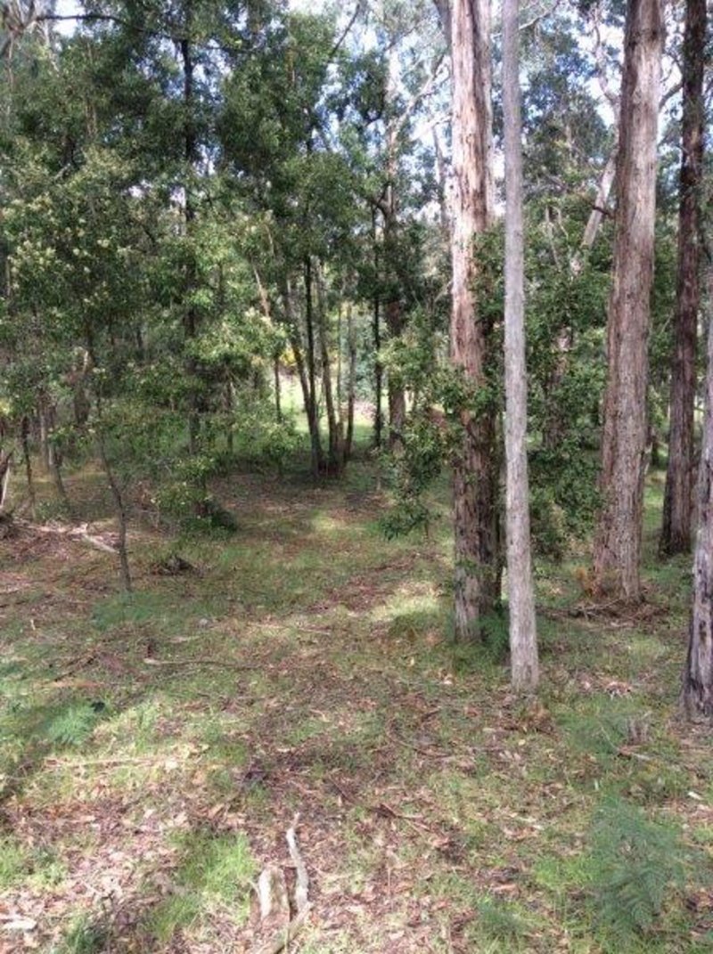 Photo - Lot 110 Dales Creek Avenue, Dales Creek VIC 3341 - Image 4