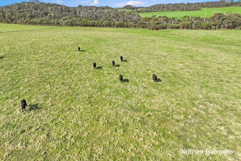 Photo - Lot 1/105 Setfords , Buffalo VIC 3958 - Image 12