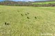 Photo - Lot 1/105 Setfords , Buffalo VIC 3958 - Image 12