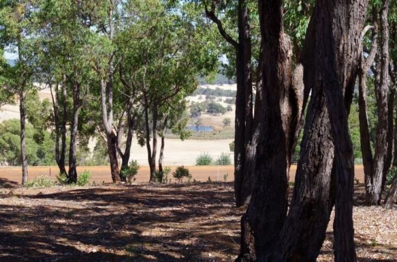 Photo - Lot 111 Cycad Crescent, Wundowie WA 6560 - Image 3