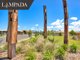 Photo - Lot 1117 Lampada Estate , Tamworth NSW 2340 - Image 2