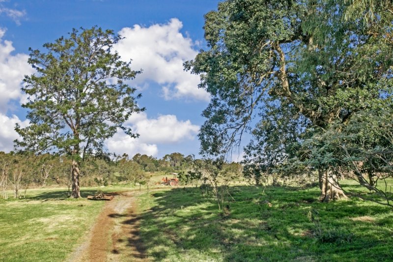 Photo - Lot 112 Lizard Avenue, Maitland Vale NSW 2320 - Image 2