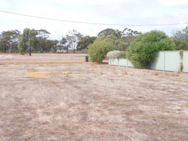 Photo - Lot 113 First Avenue, Kendenup WA 6323 - Image 5