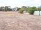 Photo - Lot 113 First Avenue, Kendenup WA 6323 - Image 5