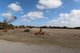 Photo - Lot 113 Park Terrace North, Edithburgh SA 5583 - Image 4