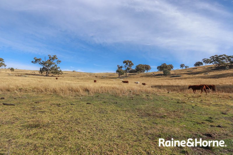 Photo - Lot 113 Whalans Lane, Duramana NSW 2795 - Image 2